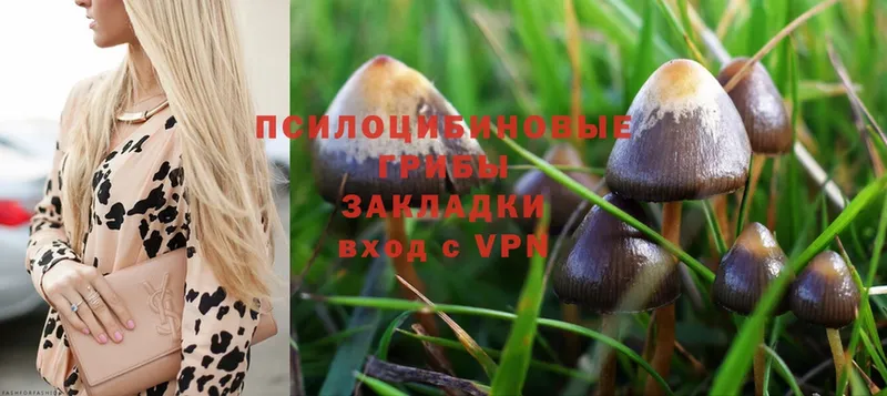 Галлюциногенные грибы Magic Shrooms  Бокситогорск 