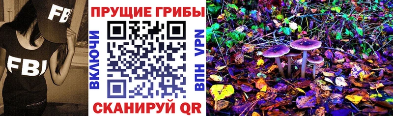 Галлюциногенные грибы Magic Shrooms  Бокситогорск 